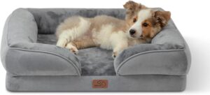 caring-your-dog-09