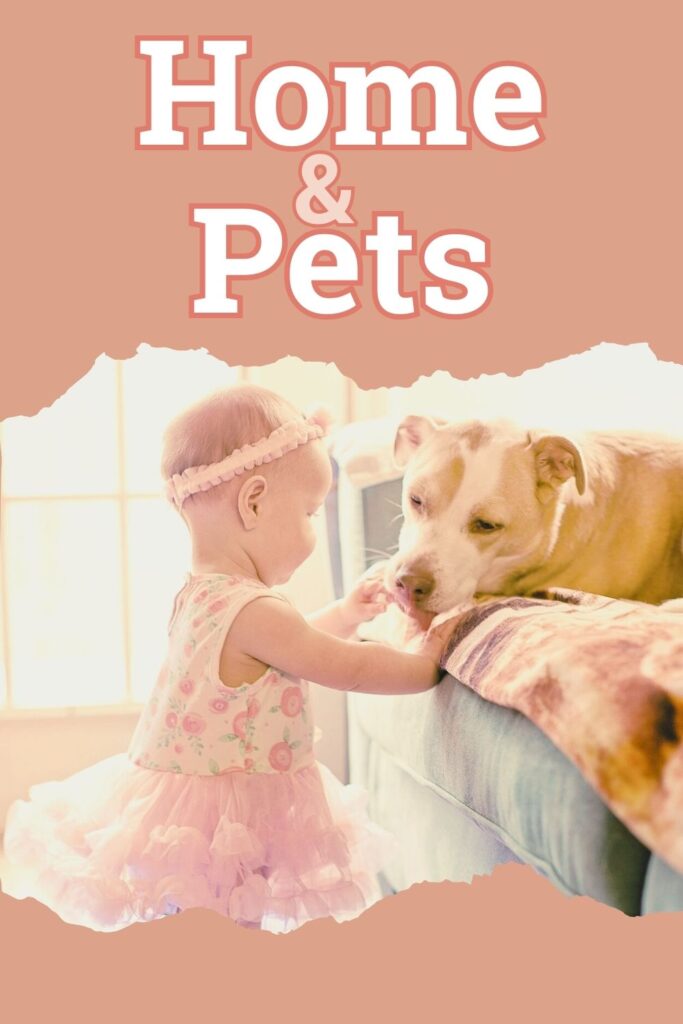 home-and-pets